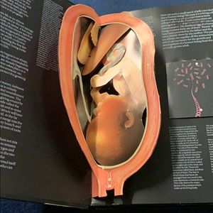Educational three-dimensional book